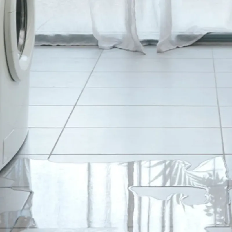 Appliance Leak Cleanup in Benton County, WA