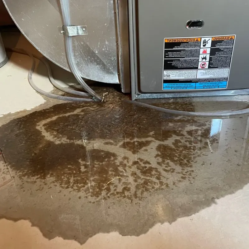 Pipe Burst and Leak Restoration in Benton County, WA