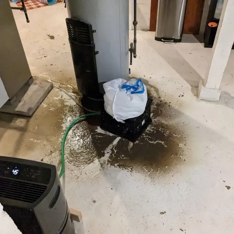 Sewage Backup Cleanup Service in Benton County, WA